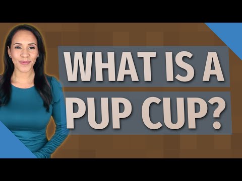 What Is a Free Starbucks Pup Cup? - Drivin' & Vibin'