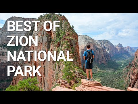 The Hidden Dangers in Zion National Park - Drivin' & Vibin'