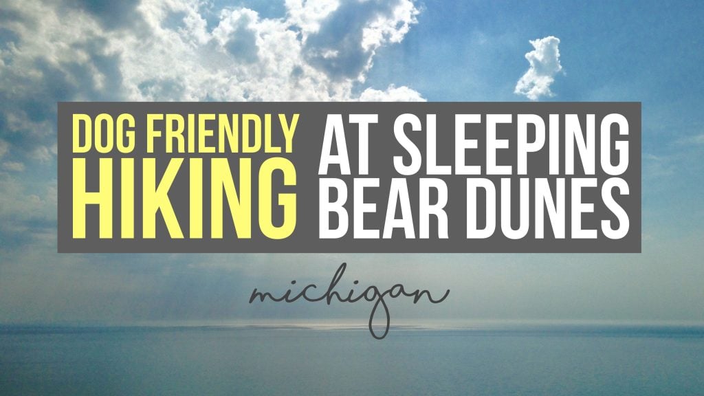 Dog Friendly Hiking at Sleeping Bear Dunes National Lakeshore, Michigan - Drivin' & Vibin'