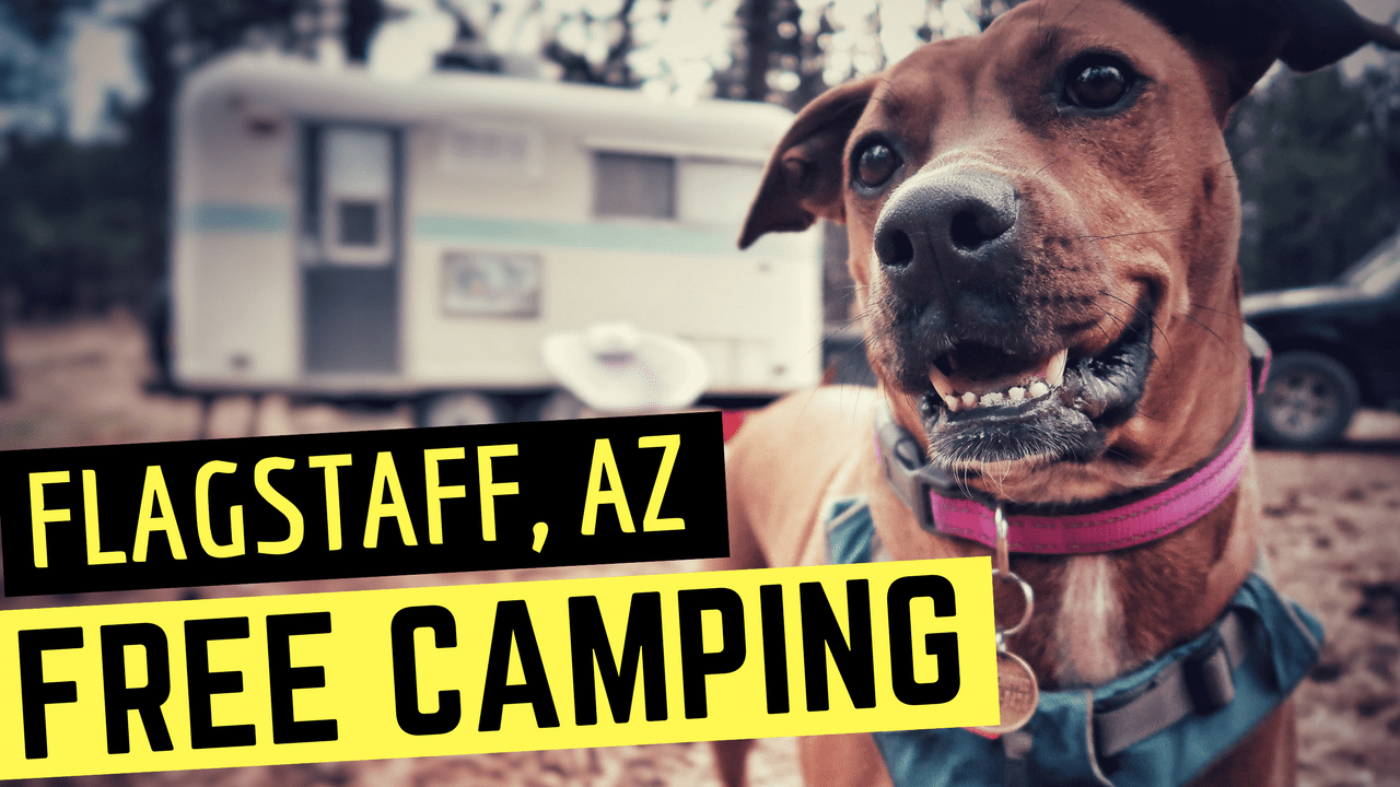 Free Camping in Flagstaff, Arizona