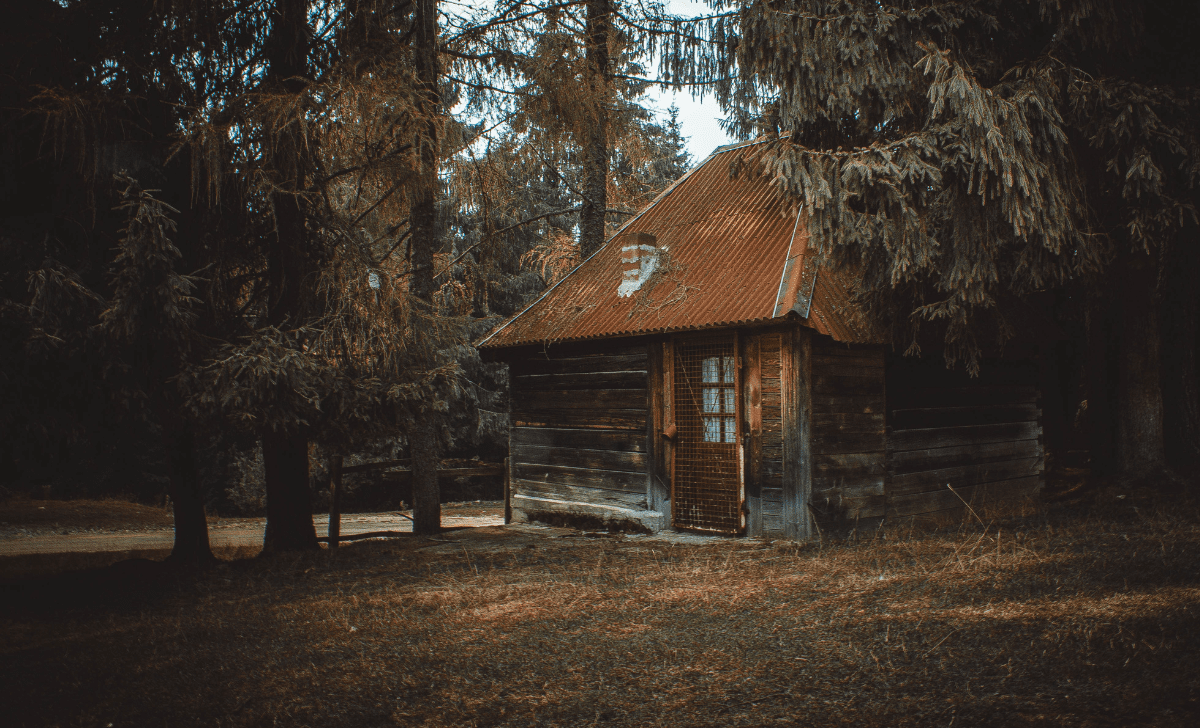 Cabin In Michigan