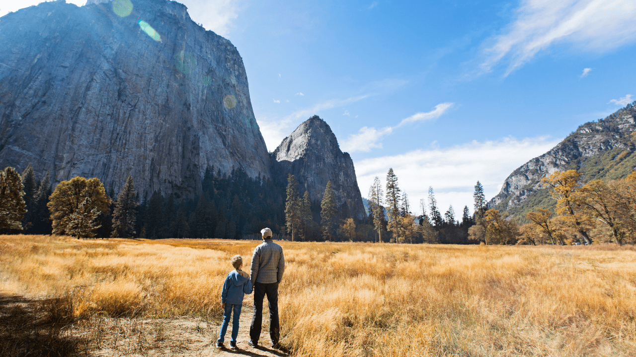 Yosemite Tourism.png