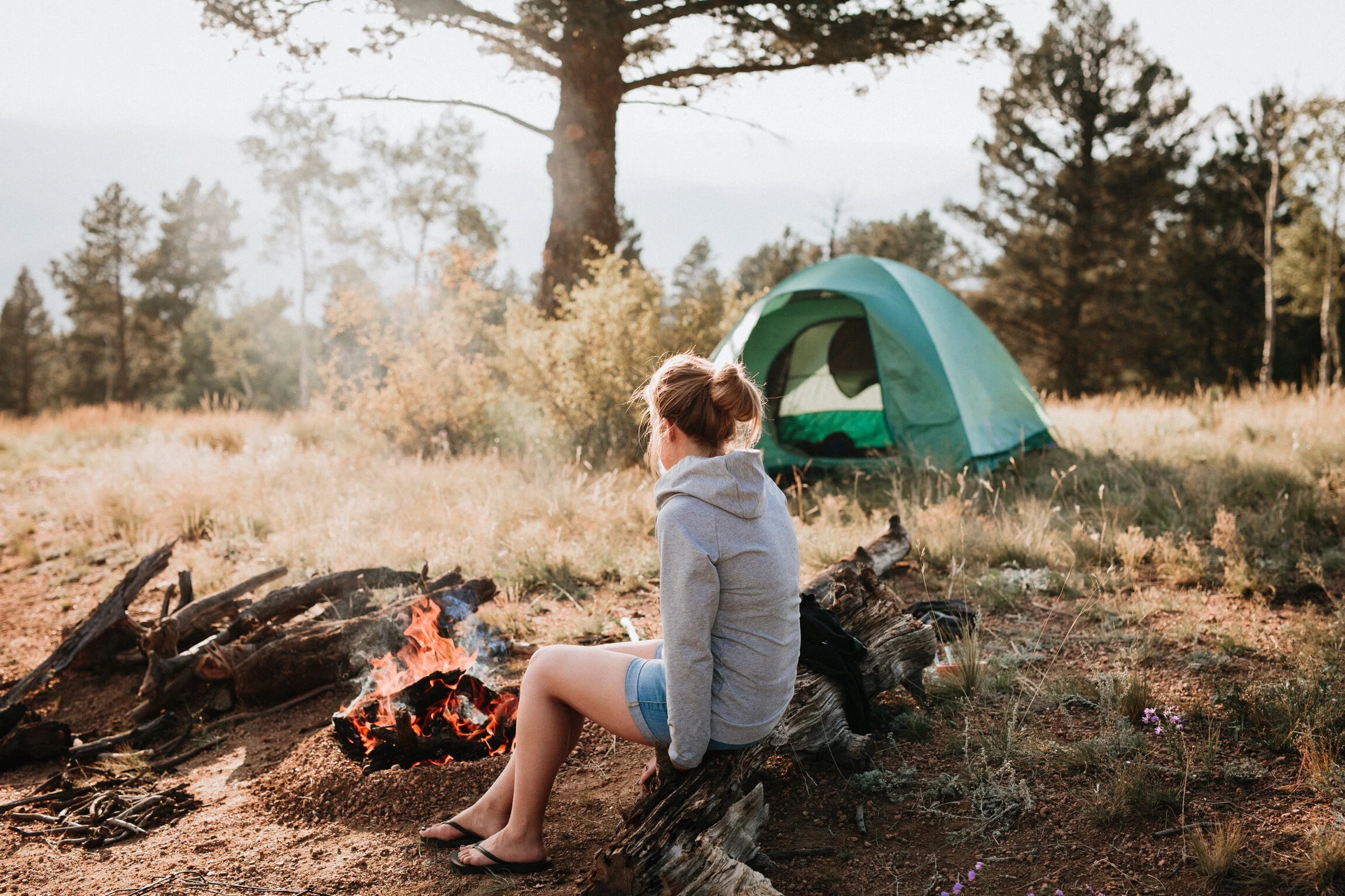 aanvaarden zwak Betekenisvol 11 Totally Free Camping Spots in Colorado - Drivin' & Vibin'
