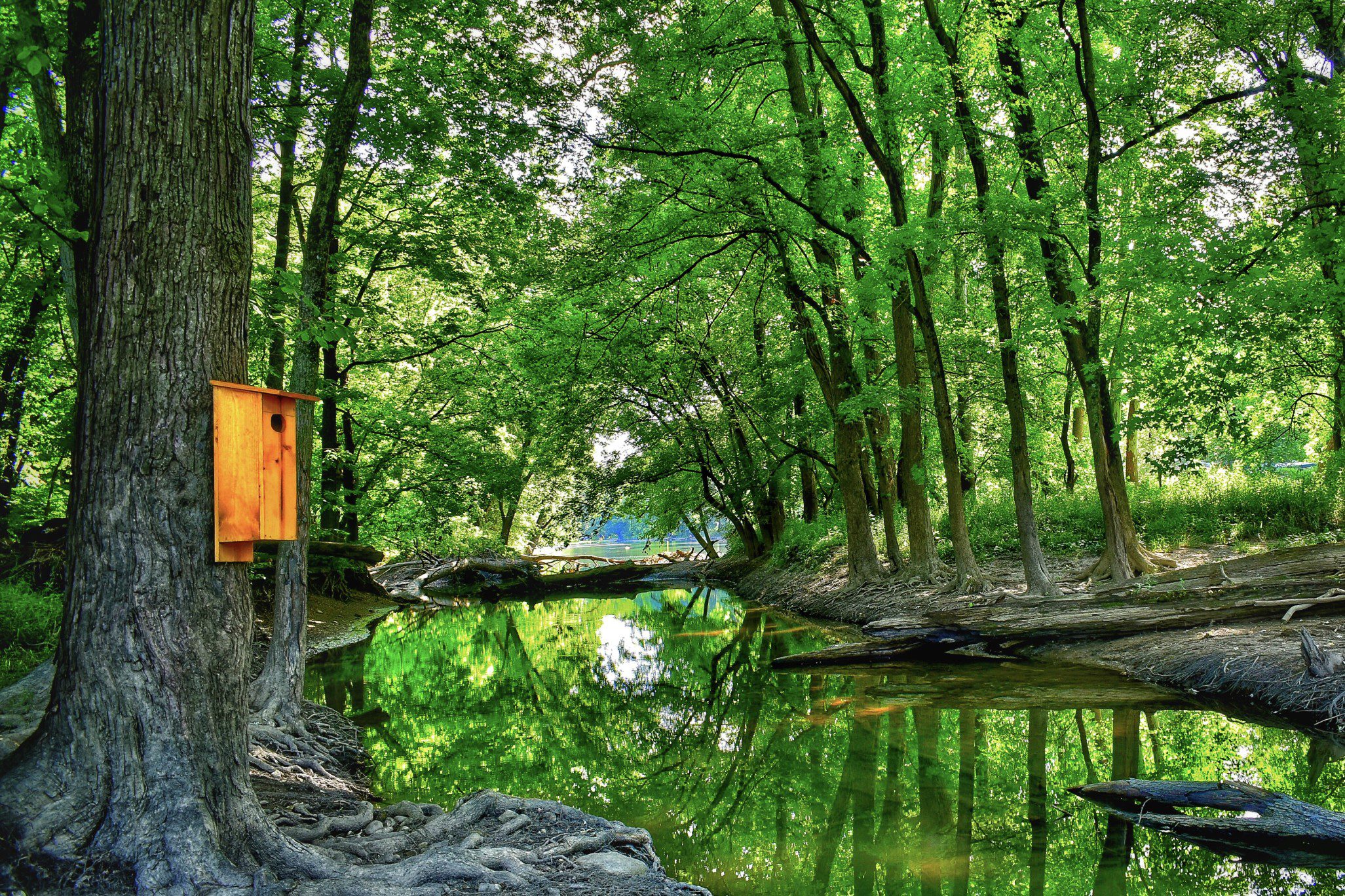 7 Most Beautiful Campgrounds in Indiana