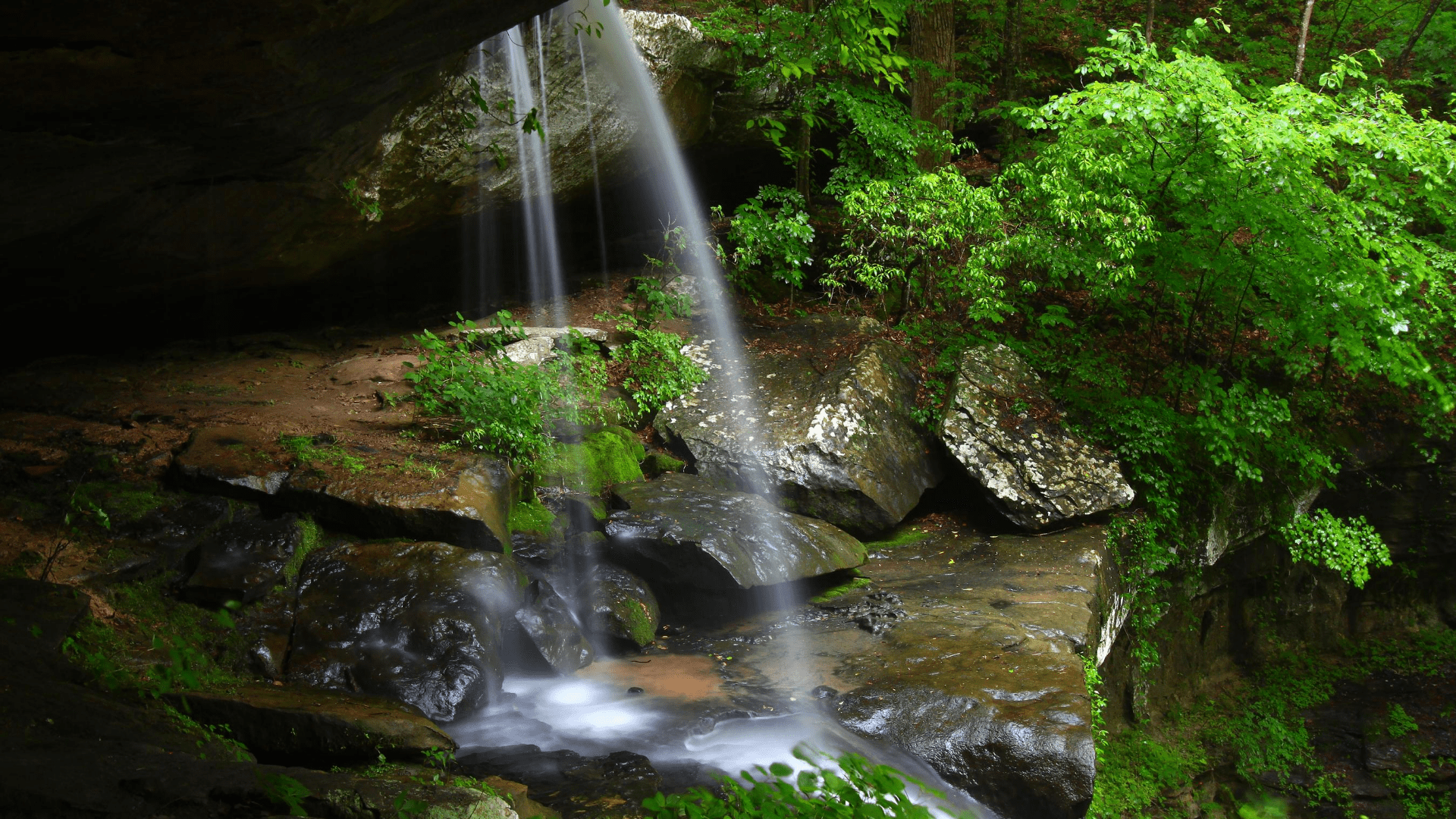 7 Amazing Waterfalls in Alabama