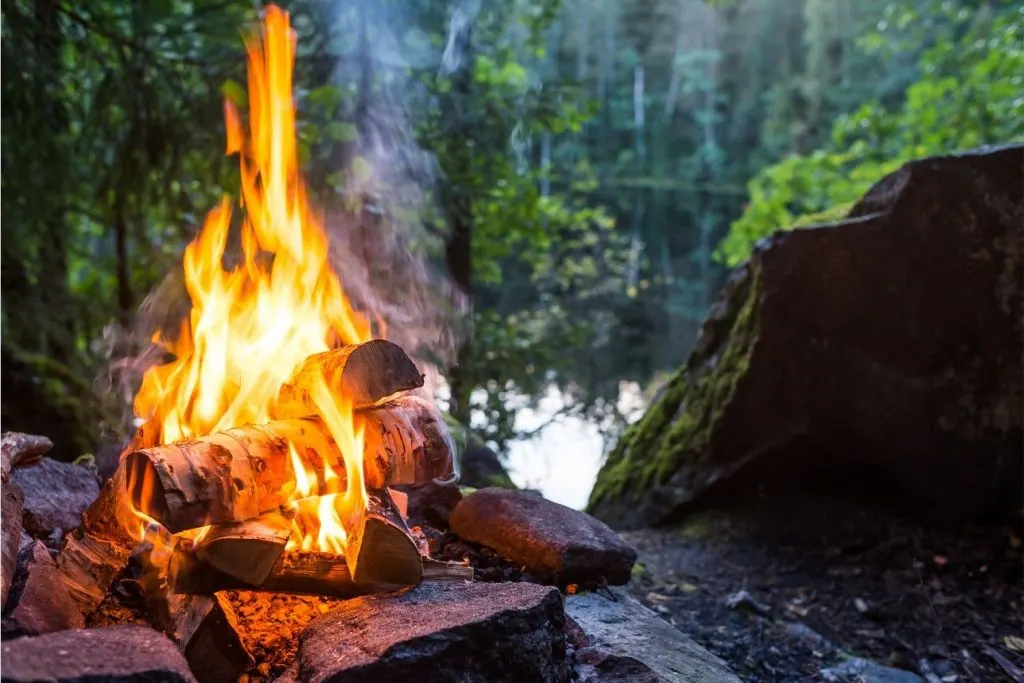 Leave No Trace Minimize Campfire Impacts