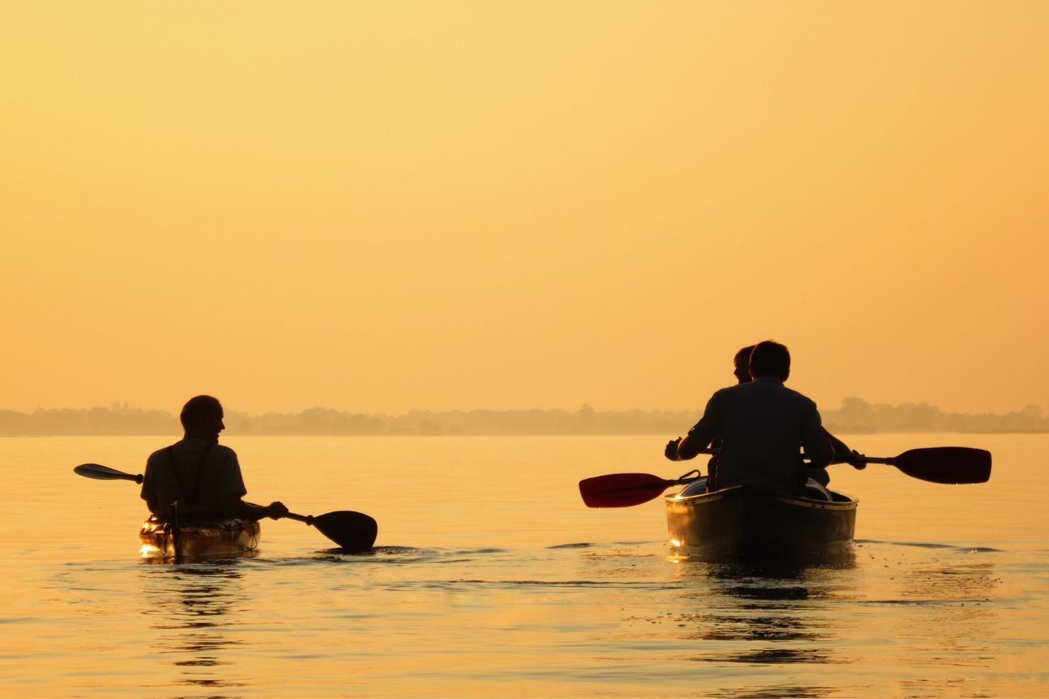 Canoe vs Kayak: Which Should You Use? - Drivin' & Vibin'