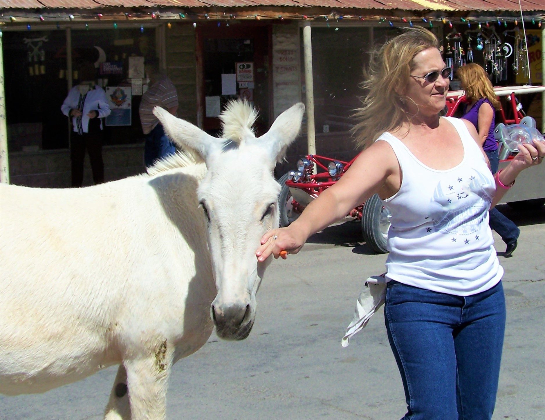 How to Spend a Day in Oatman, Arizona