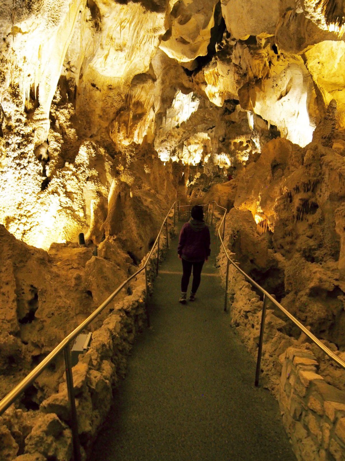 How to Spend a Day at Carlsbad Caverns National Park - Drivin' & Vibin'