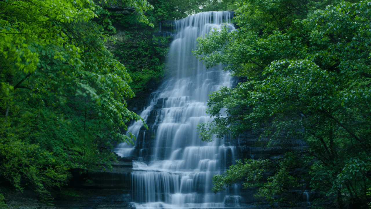 The Carmac Falls Guide for Campers & Hikers