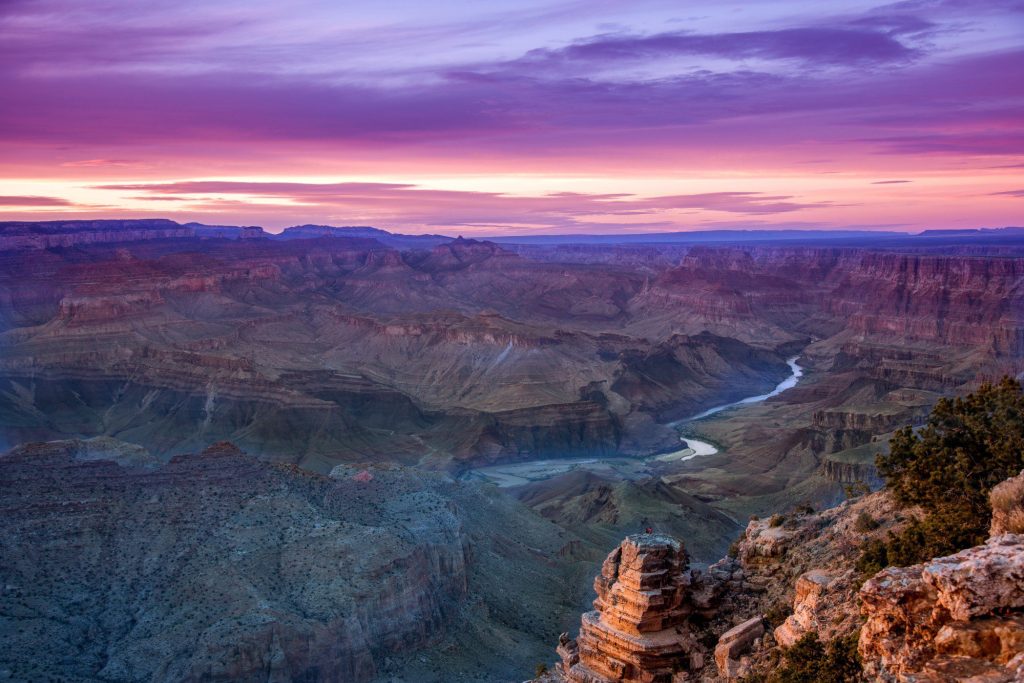 The Grand Canyon Railway is an excellent option for your next adventure!