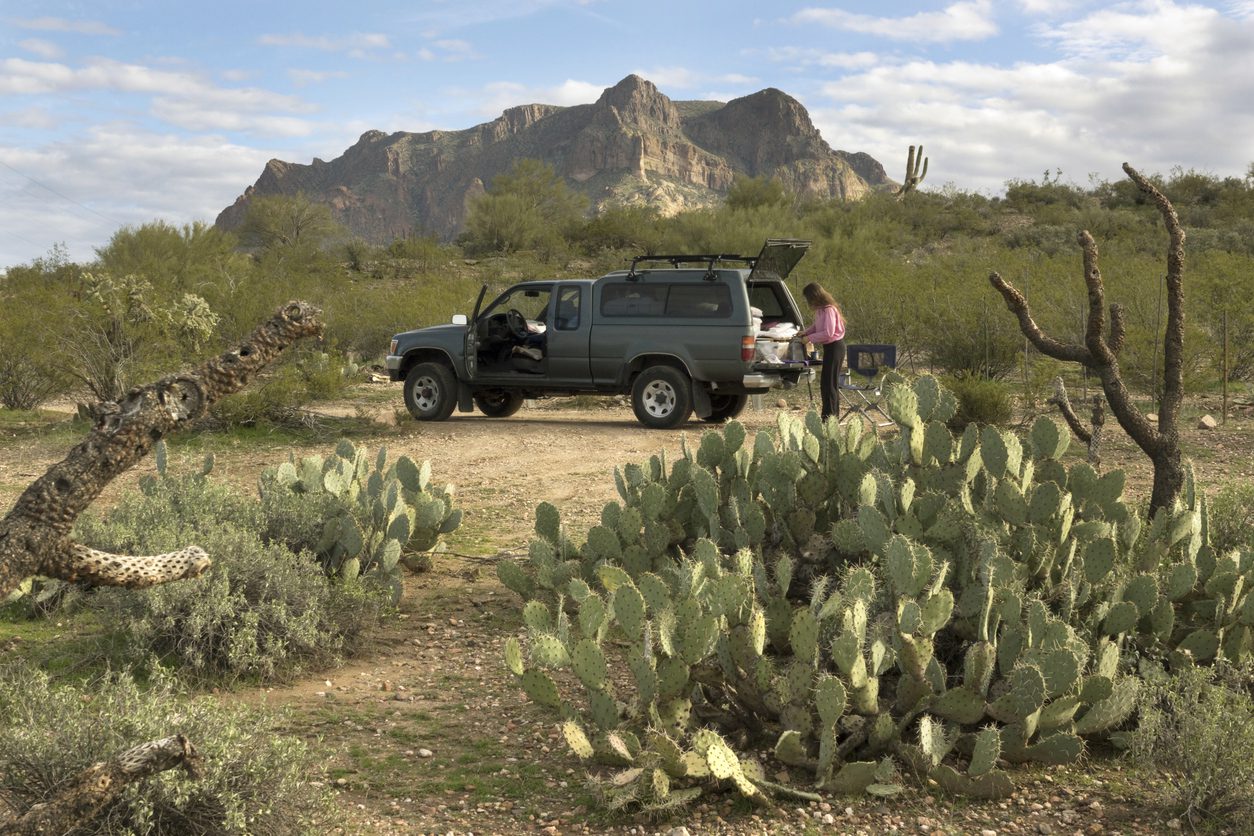 The Tonto National Forest Road Trip Guide