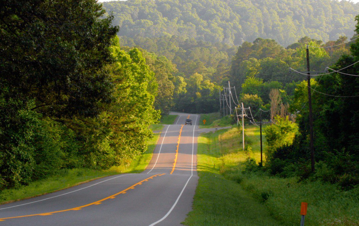 The Ouachita National Forest Road Trip Guide Drivin' & Vibin'