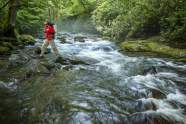 Statistically The Best Time To Visit Smoky Mountains National Park