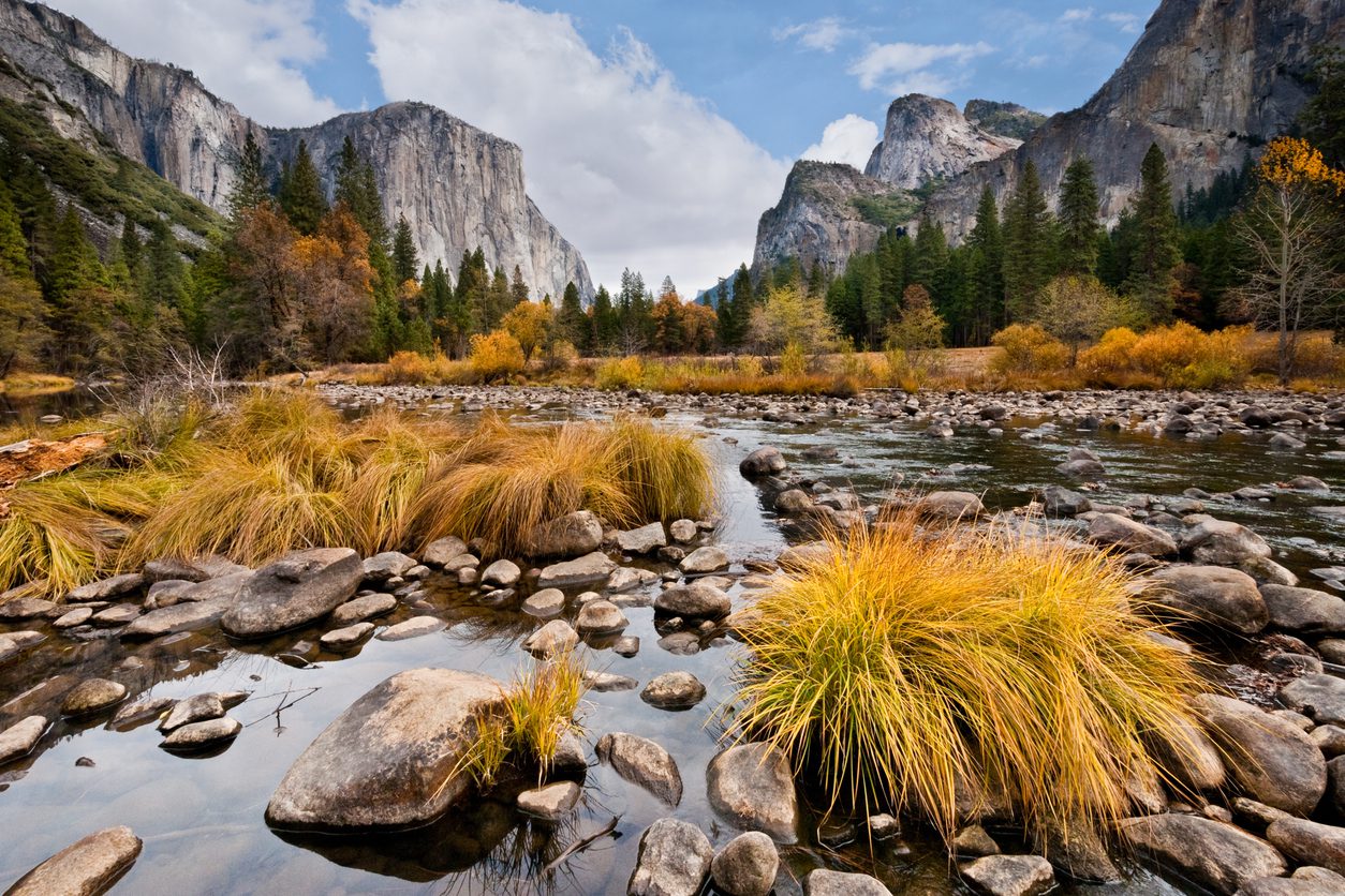 Yosemite vs Sequoia: Which National Park Is Worth Your Time (and Money)?