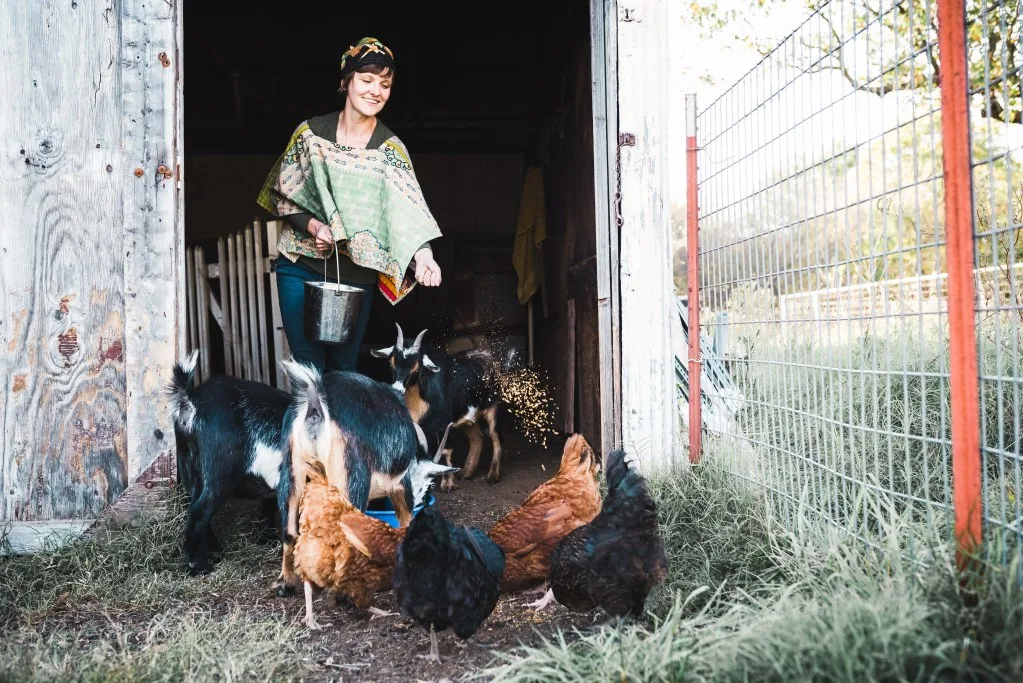Woman feeding chickens on her farm.