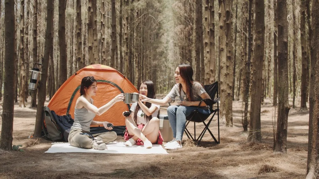 Three friends camping in trees.