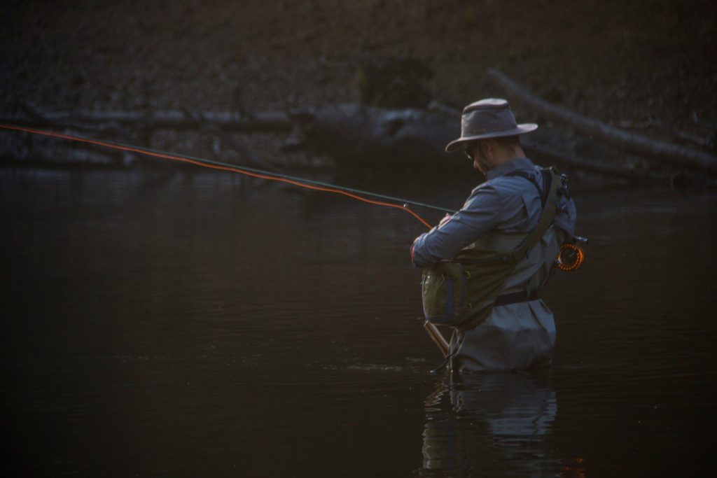 Alabama state parks, fishing and bird watching