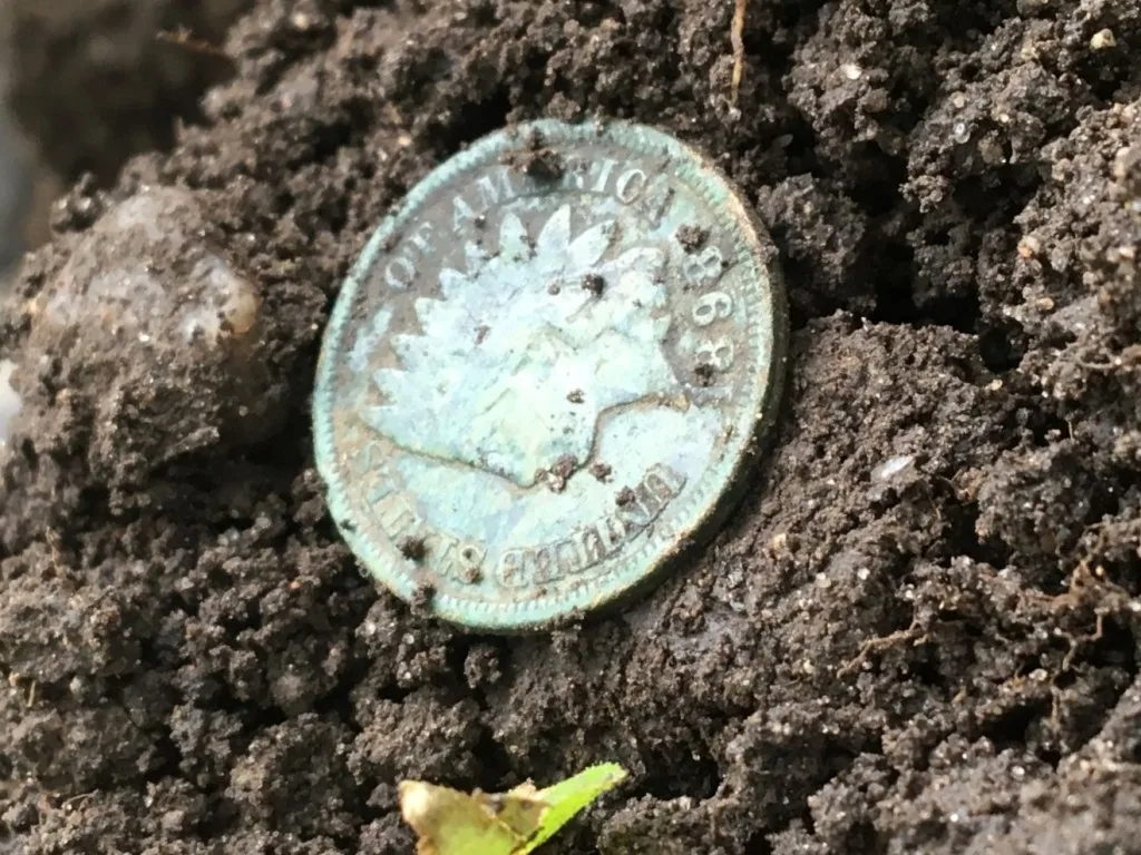 coin in dirt