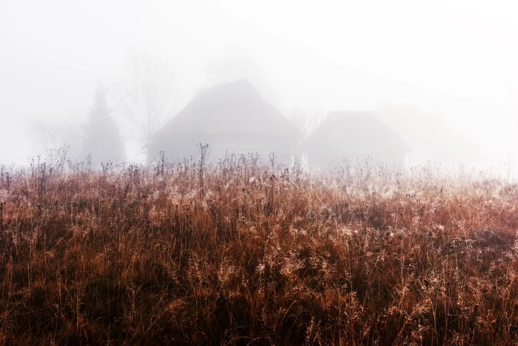 Creepy shadowed haunted house eerie field