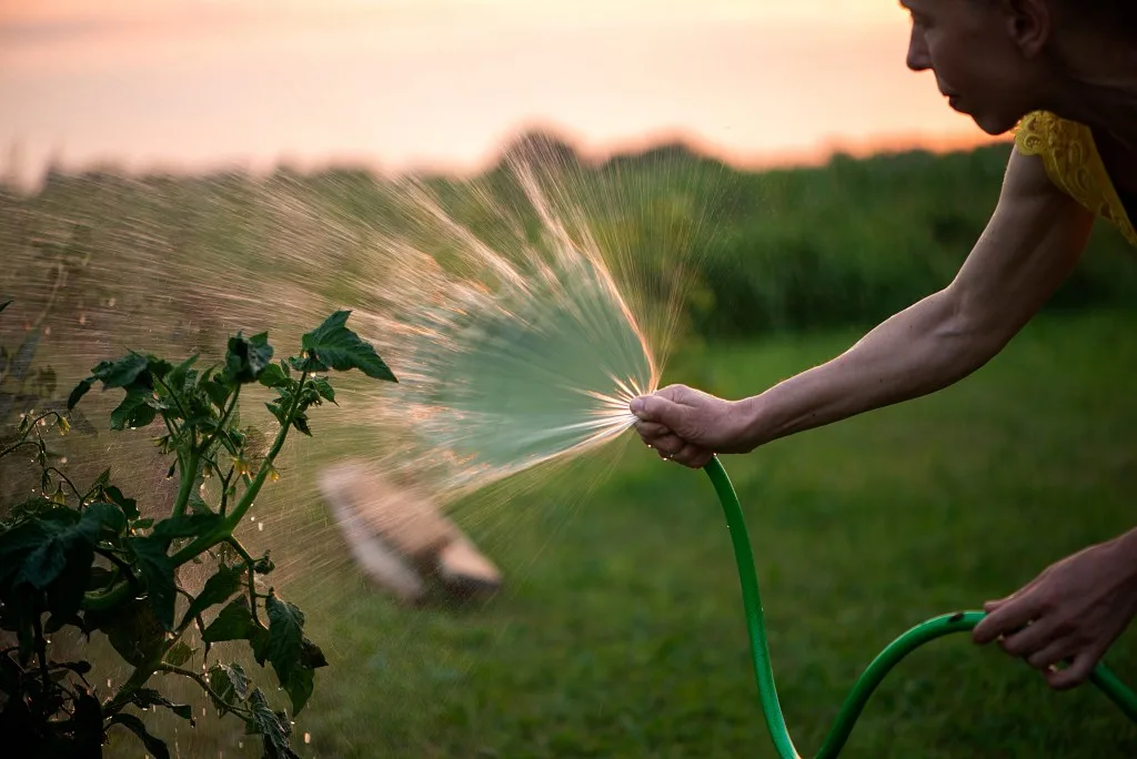 Woman holding hand hose sprayer and watering plants.
