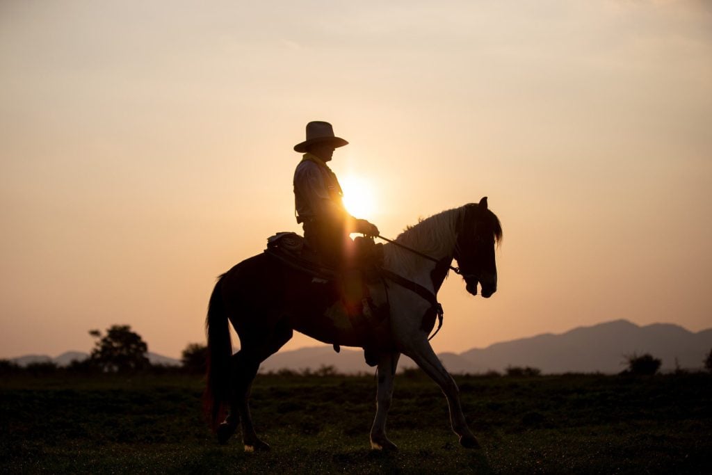 Cowboy riding a horse in New Mexico. 