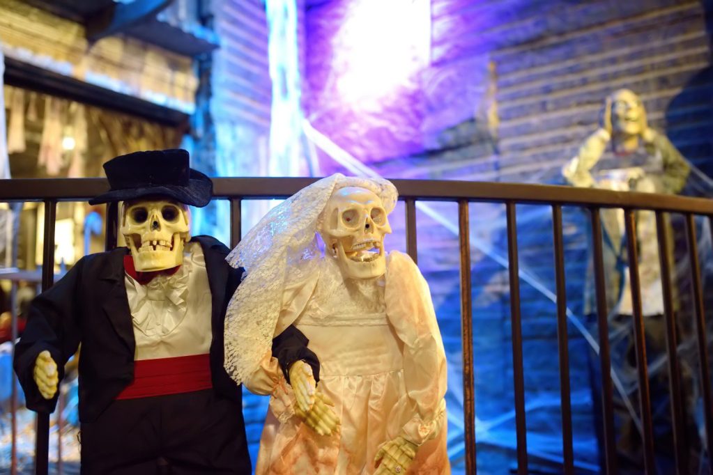 Skeleton bride and groom.