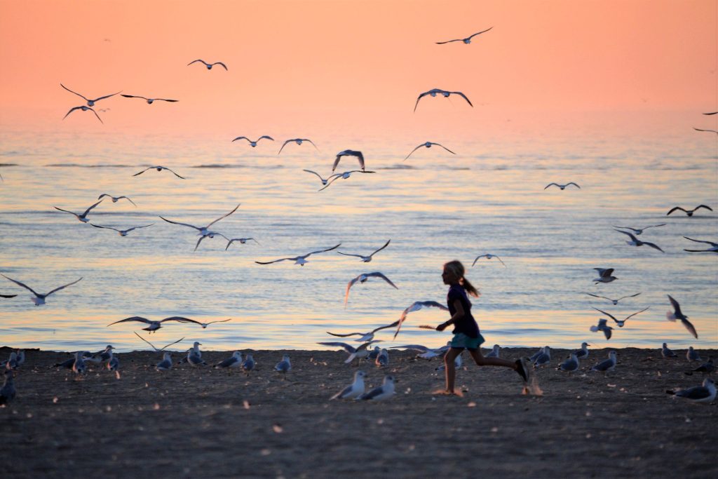 Girl chasing seagulls at Lake Michigan.