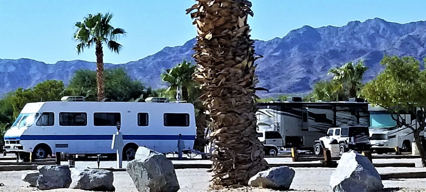 Multiple RVs park in campsite.