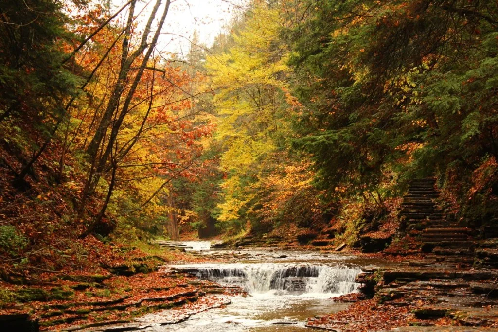 Waterfall in upstate New York.