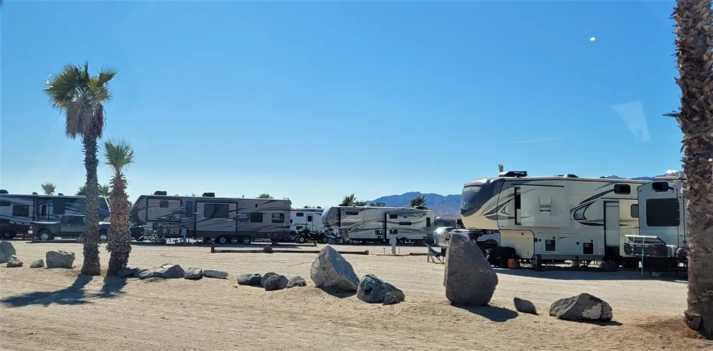 RVs parked at RV campsite.