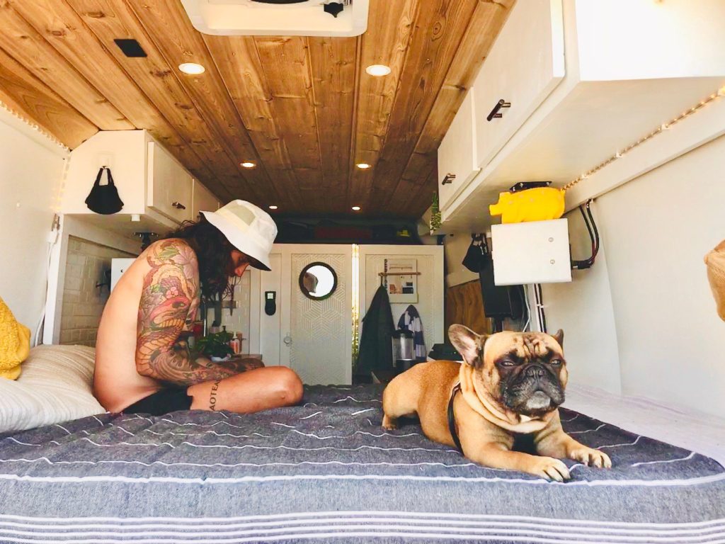 Man and dog inside parked camper van.