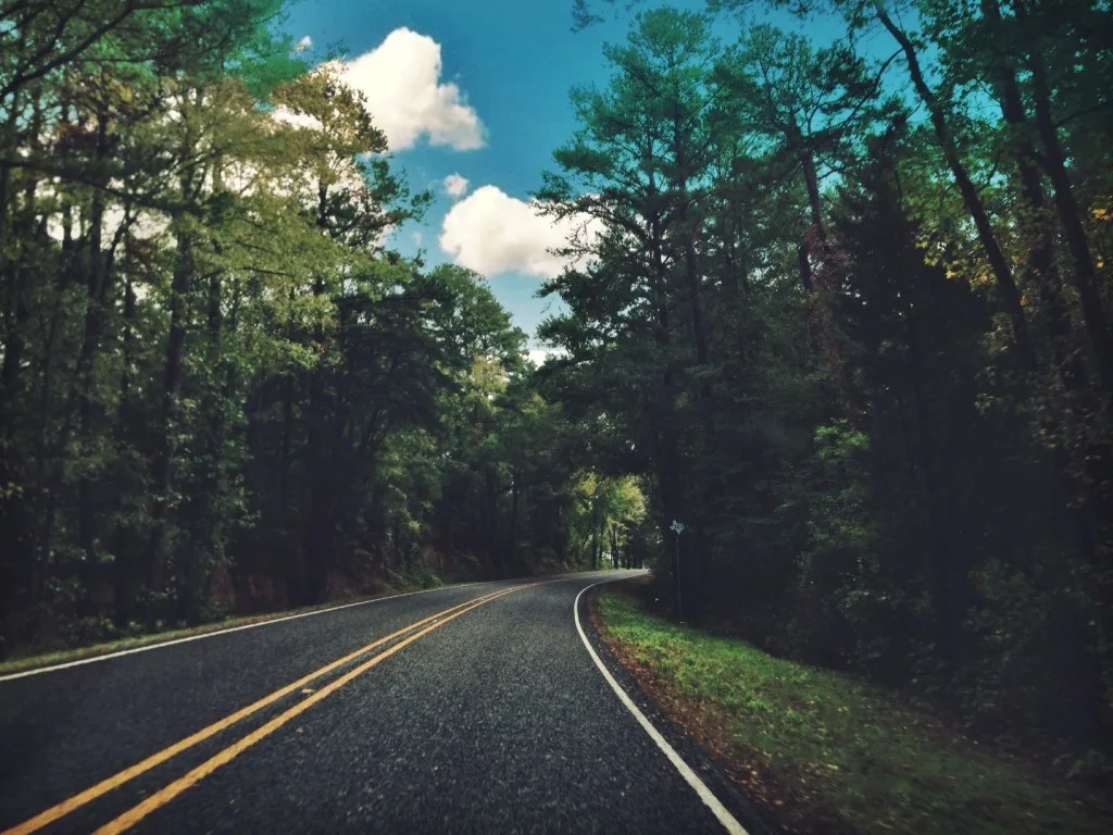 Winding road through the forest.