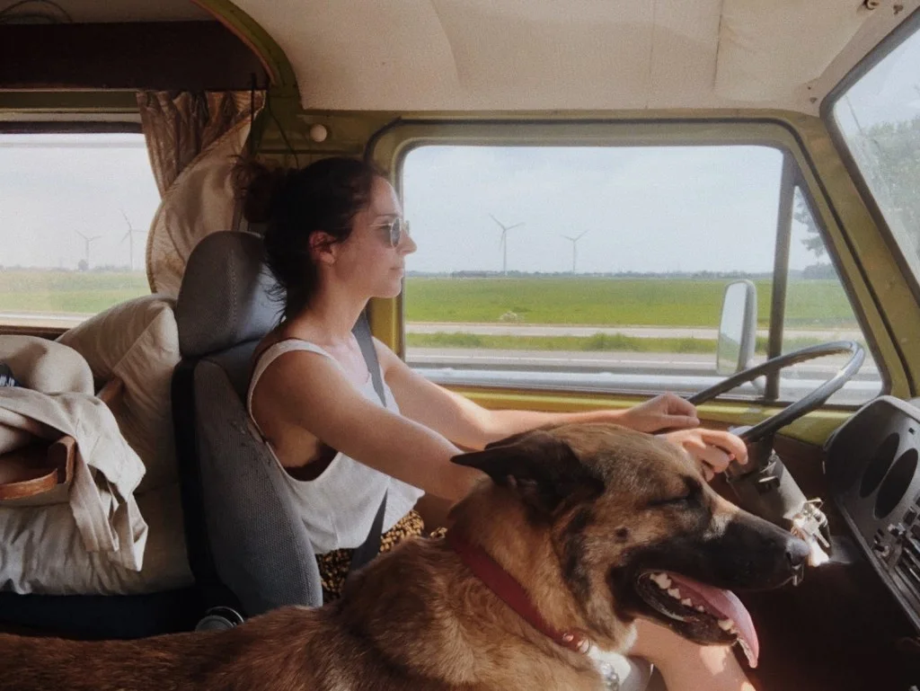 Woman driving vintage camper van with dog.