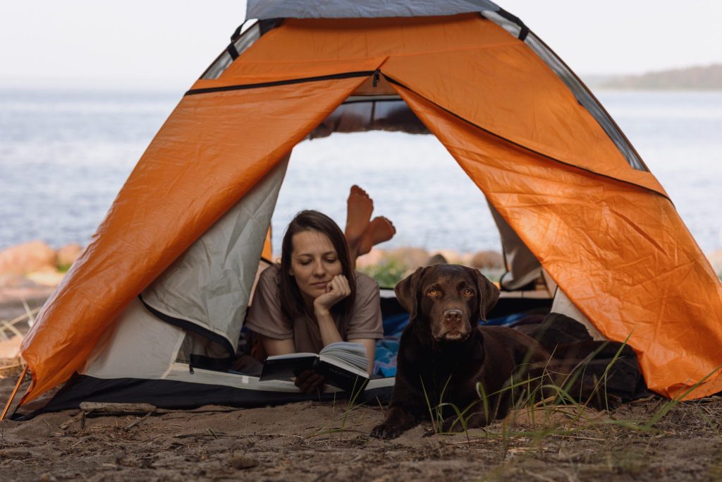 Woman reading in camping tent with dog