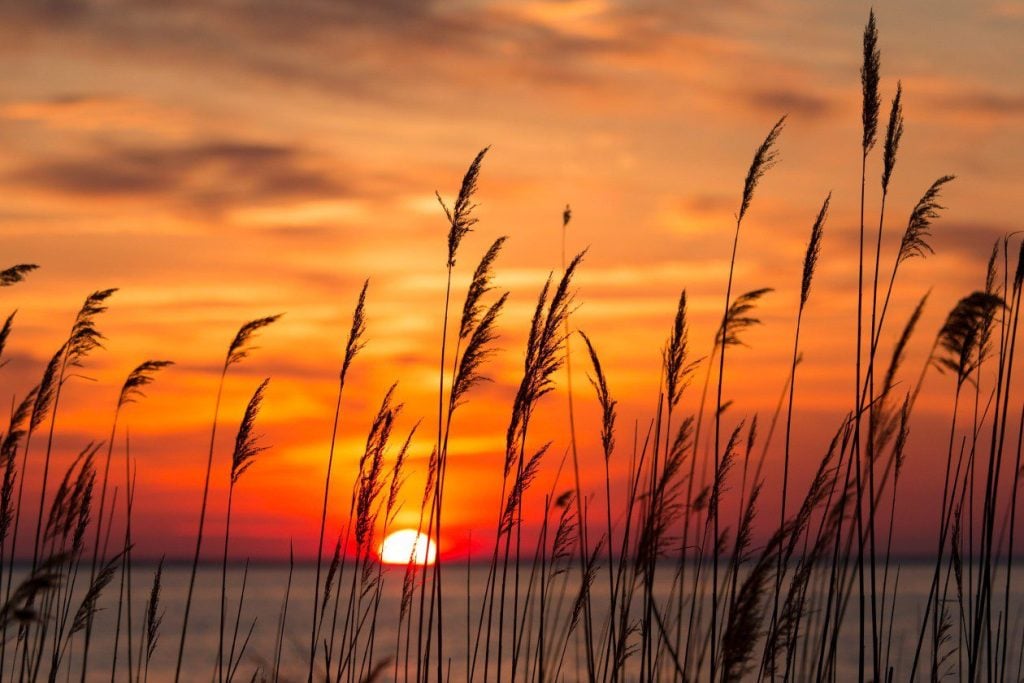 Sunset at the Chesapeake Bay.