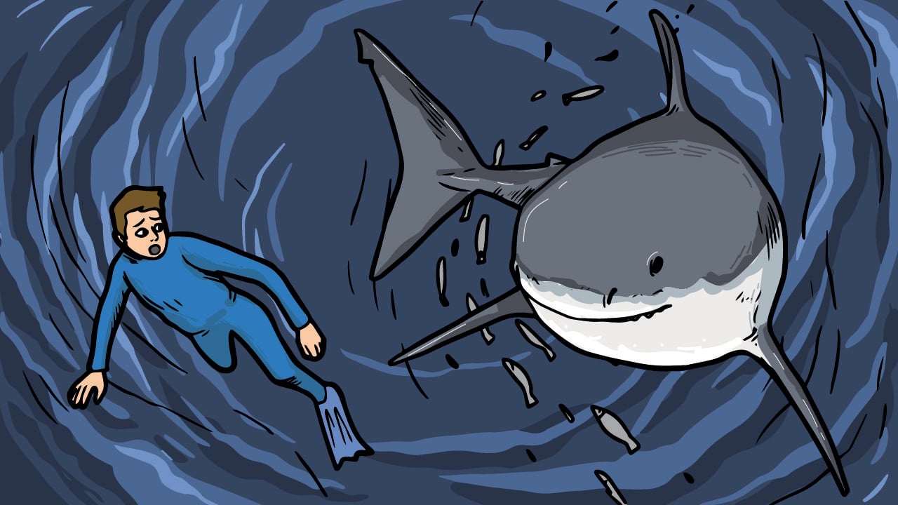 Beach Alert 7 Dangerous Creatures in Destin, FL Drivin' & Vibin'