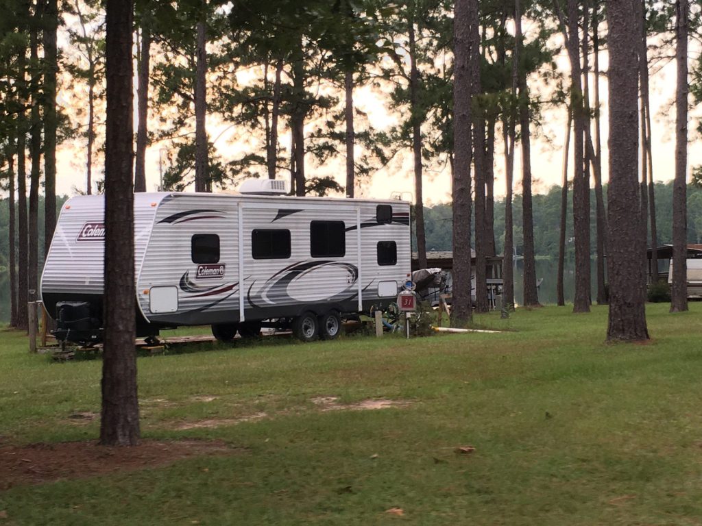 RV parked amongst trees at campsite.