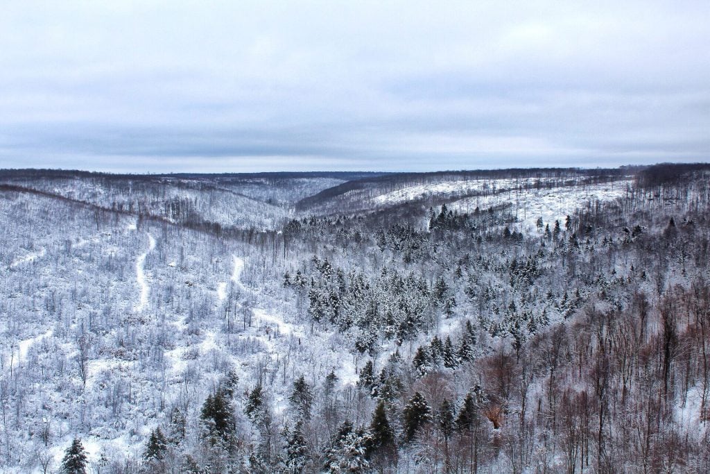 Allegheny National Forest in the winter with snow