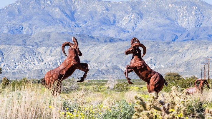 What Are the Beasts of Borrego Springs?
