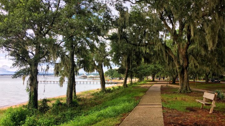 7 Things to Do in Fairhope