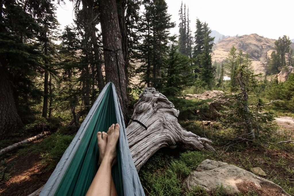 Person laying in hammock tied to trees
