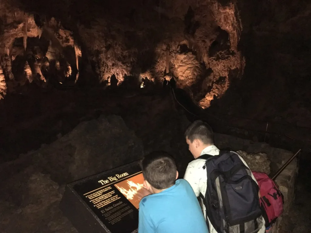 Two boys reading sign in the Big Room in Carlsbad Cavern