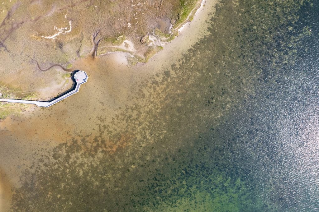 Aerial view of Chesapeake Bay with algae