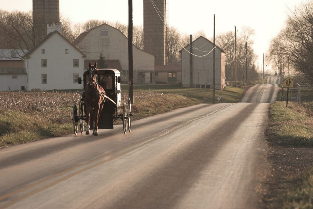 Where Do The Amish Live in the USA? Drivin' & Vibin'