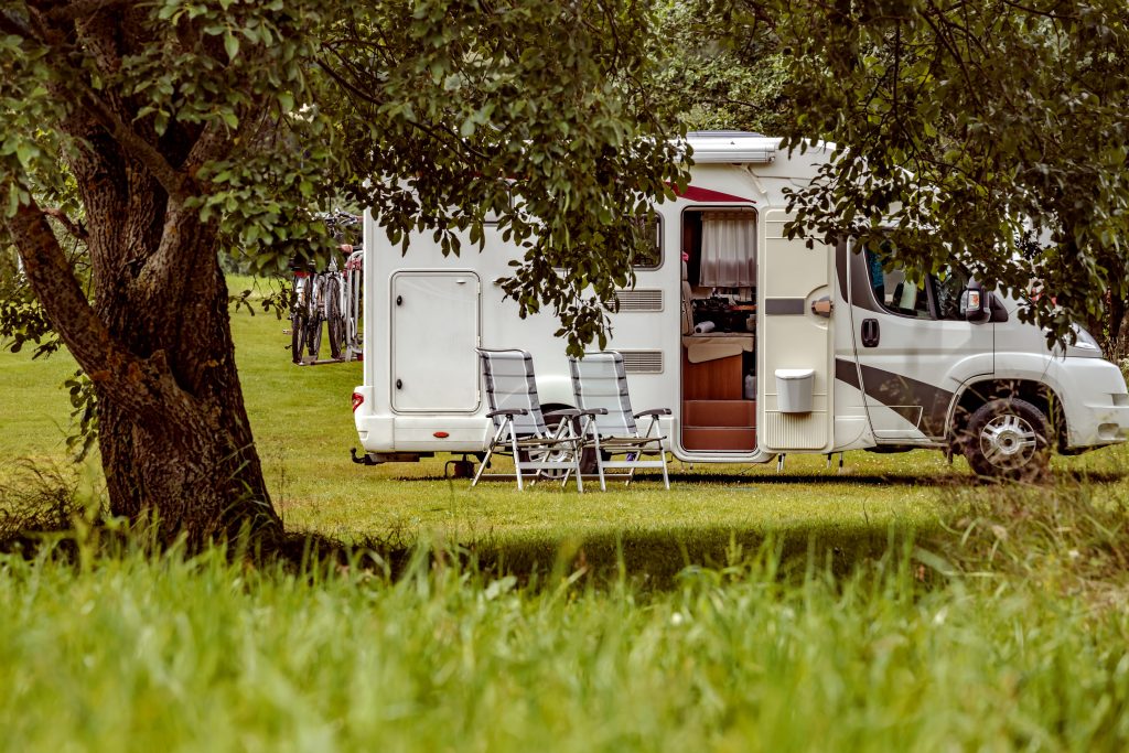 RV parked at campsite by tree