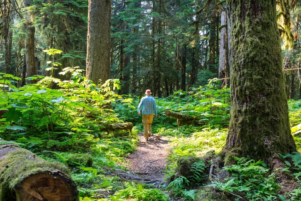 Man hiking through forest in Pennsylvania