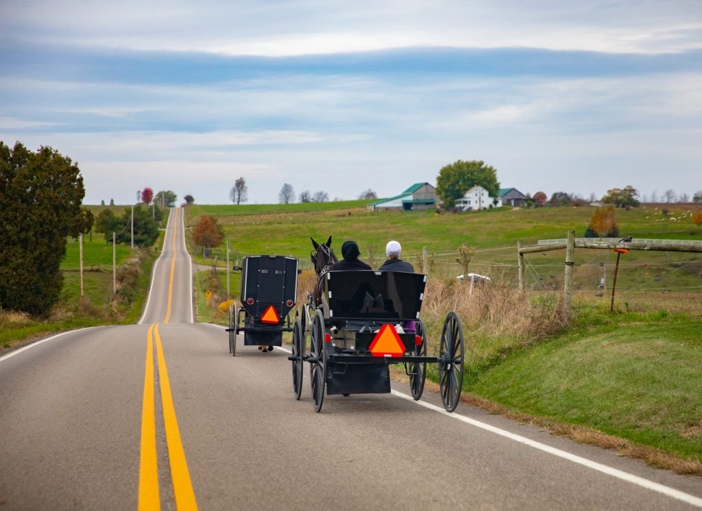 Amish riding in horse and buggy.