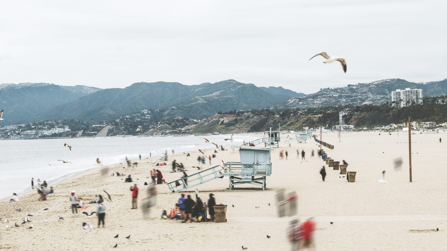 Is Venice Beach Safe to Visit Anymore? Drivin' & Vibin'