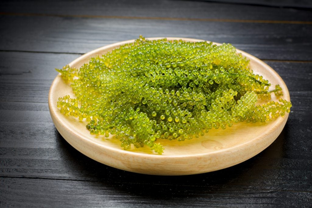 What Are Sea Grapes and Where Can You Eat Them? Drivin' & Vibin'